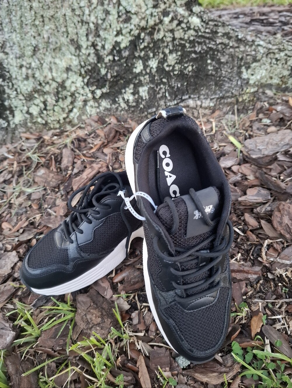 Coach girl's Black Leather & Mesh Sneakers